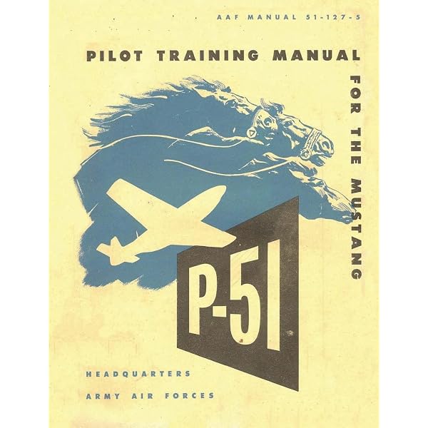 Fighter Pilot Gunnery: The US Fighter Pilot Manual: United States